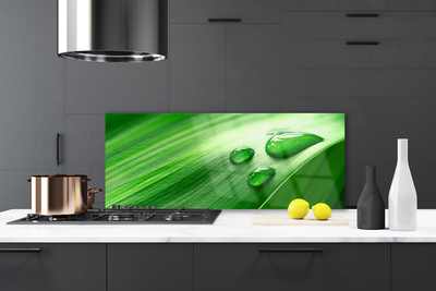 Painel cozinha Gotas de água de folhas