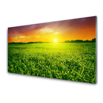 Painel vidro cozinha Nascer do sol no campo de grãos