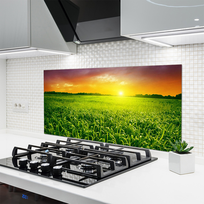 Painel vidro cozinha Nascer do sol no campo de grãos