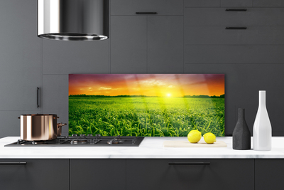 Painel vidro cozinha Nascer do sol no campo de grãos