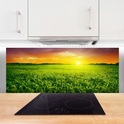 Painel vidro cozinha Nascer do sol no campo de grãos
