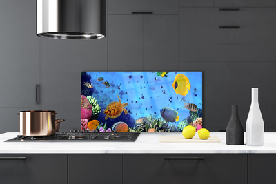 Painel cozinha Natureza dos peixes dos recifes de coral