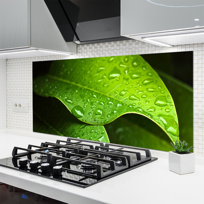 Painel vidro cozinha Gotas de Orvalho Folha