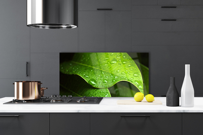 Painel vidro cozinha Gotas de Orvalho Folha