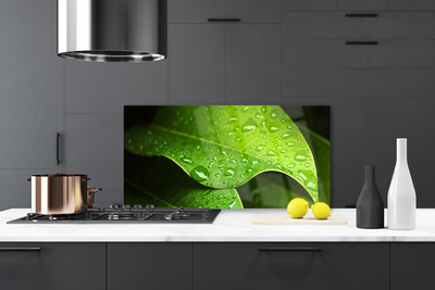 Painel vidro cozinha Gotas de Orvalho Folha
