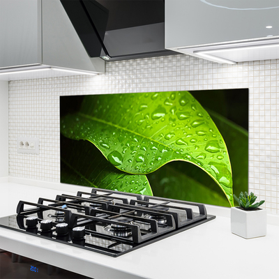 Painel vidro cozinha Gotas de Orvalho Folha