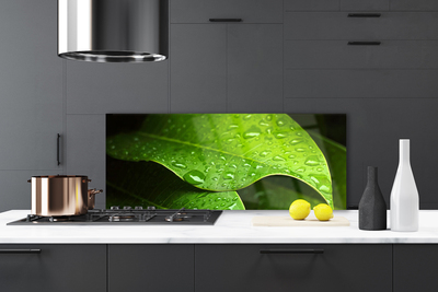 Painel vidro cozinha Gotas de Orvalho Folha