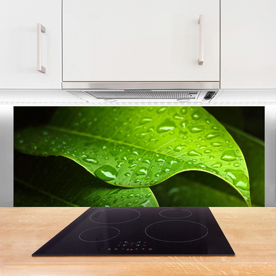 Painel vidro cozinha Gotas de Orvalho Folha