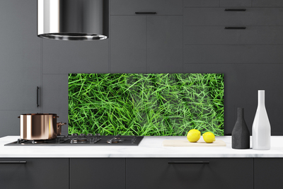 Painel vidro cozinha Gramado