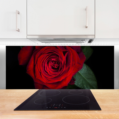 Painel cozinha Rosa na Parede