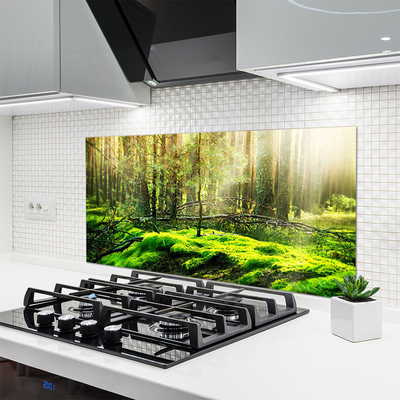 Painel vidro cozinha Natureza da Floresta de Musgos