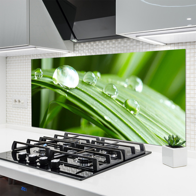 Painel vidro cozinha Gotas de orvalho das folhas