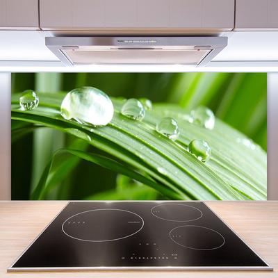 Painel vidro cozinha Gotas de orvalho das folhas