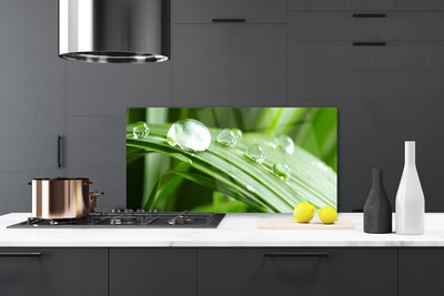 Painel vidro cozinha Gotas de orvalho das folhas