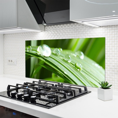 Painel vidro cozinha Gotas de orvalho das folhas