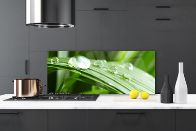 Painel vidro cozinha Gotas de orvalho das folhas