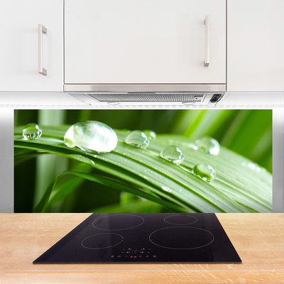 Painel vidro cozinha Gotas de orvalho das folhas