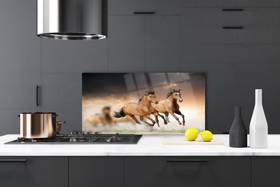 Painel vidro cozinha Cavalos Animais