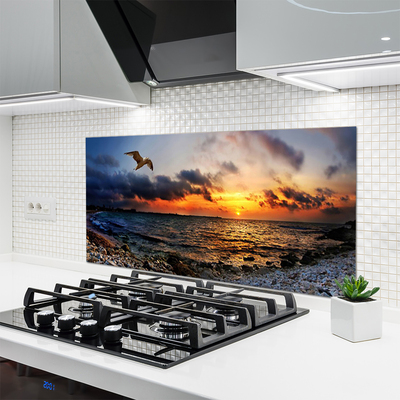 Painel cozinha Paisagem de praia de mar de gaivota