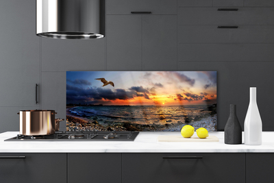 Painel cozinha Paisagem de praia de mar de gaivota