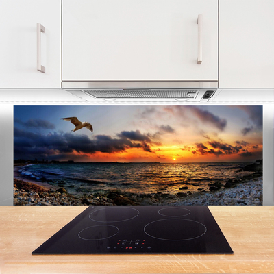 Painel cozinha Paisagem de praia de mar de gaivota