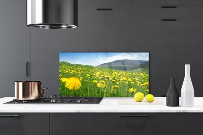 Painel cozinha Natureza do dente-de-leão