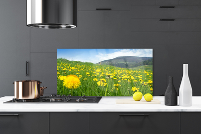 Painel cozinha Natureza do dente-de-leão