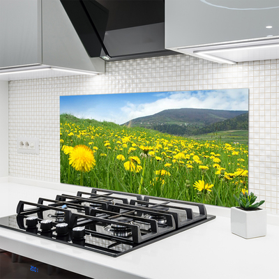 Painel cozinha Natureza do dente-de-leão