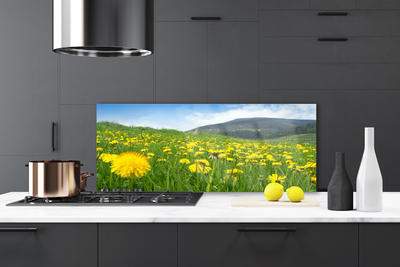 Painel cozinha Natureza do dente-de-leão