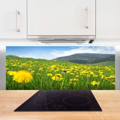 Painel cozinha Natureza do dente-de-leão