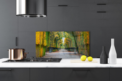 Painel cozinha Parque Outono Jardim Natureza