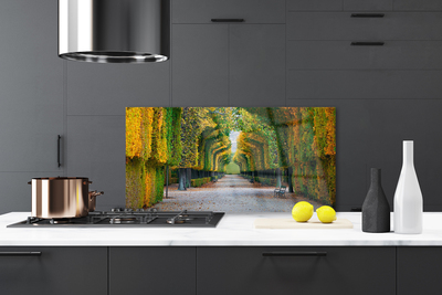 Painel cozinha Parque Outono Jardim Natureza