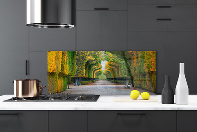 Painel cozinha Parque Outono Jardim Natureza