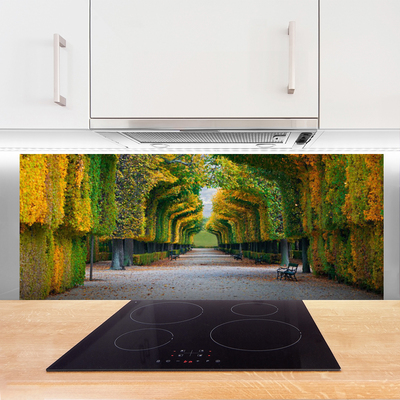 Painel cozinha Parque Outono Jardim Natureza