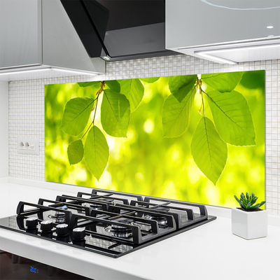 Painel cozinha Folhas na Parede