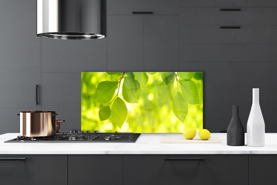 Painel cozinha Folhas na Parede