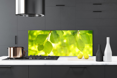 Painel cozinha Folhas na Parede