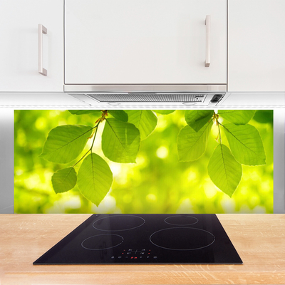 Painel cozinha Folhas na Parede