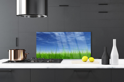 Painel cozinha Planta Natural Sky Grass
