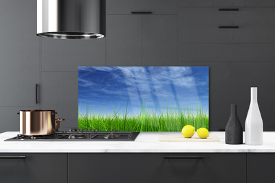 Painel cozinha Planta Natural Sky Grass