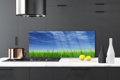 Painel cozinha Planta Natural Sky Grass