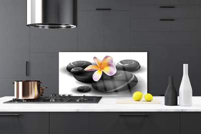 Painel cozinha Pedras de flores Natureza
