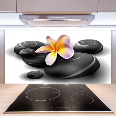 Painel cozinha Pedras de flores Natureza