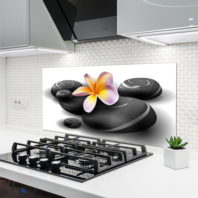 Painel cozinha Pedras de flores Natureza
