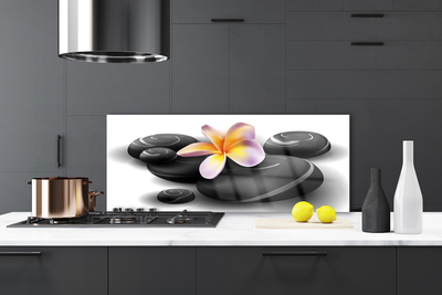 Painel cozinha Pedras de flores Natureza