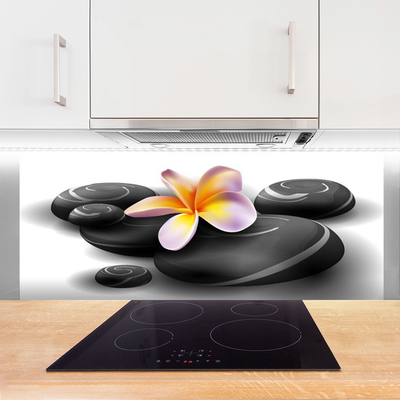 Painel cozinha Pedras de flores Natureza