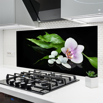 Painel vidro cozinha Pedras de flores Folhas