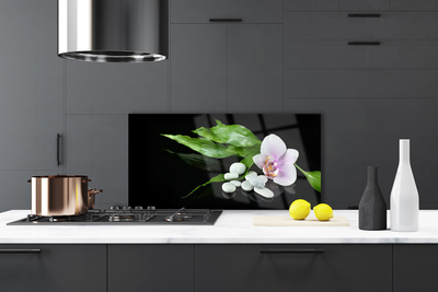 Painel vidro cozinha Pedras de flores Folhas