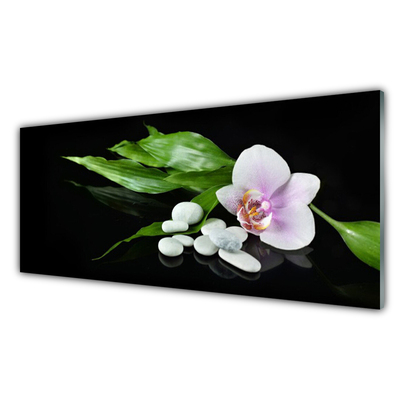 Painel vidro cozinha Pedras de flores Folhas