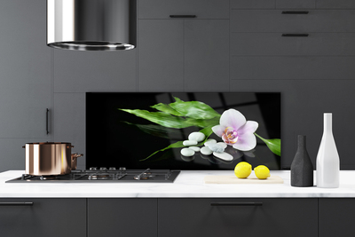 Painel vidro cozinha Pedras de flores Folhas